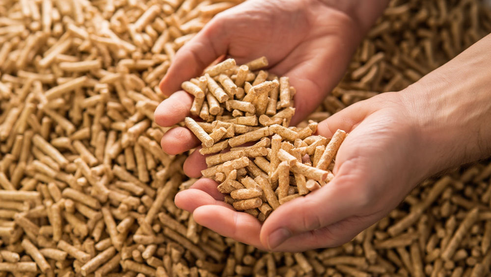 comment reconnaitre pellets qualite