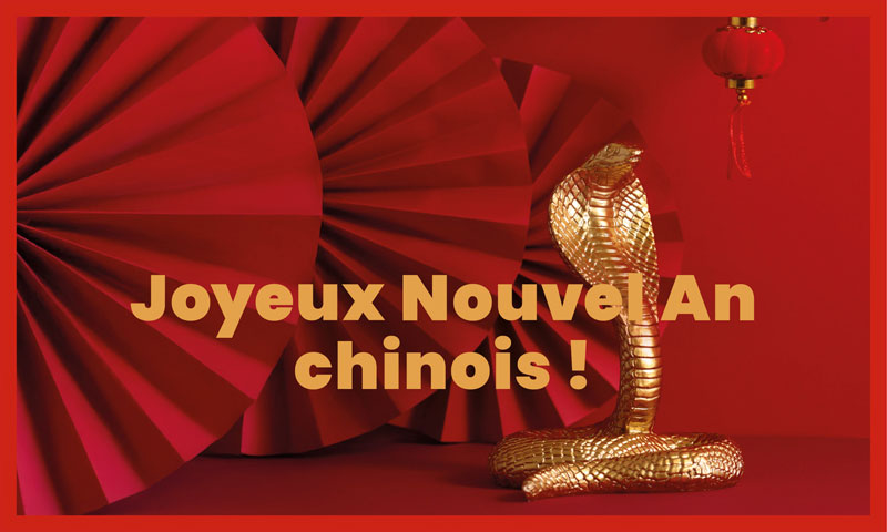 nouvel an chinois 2025 thumb