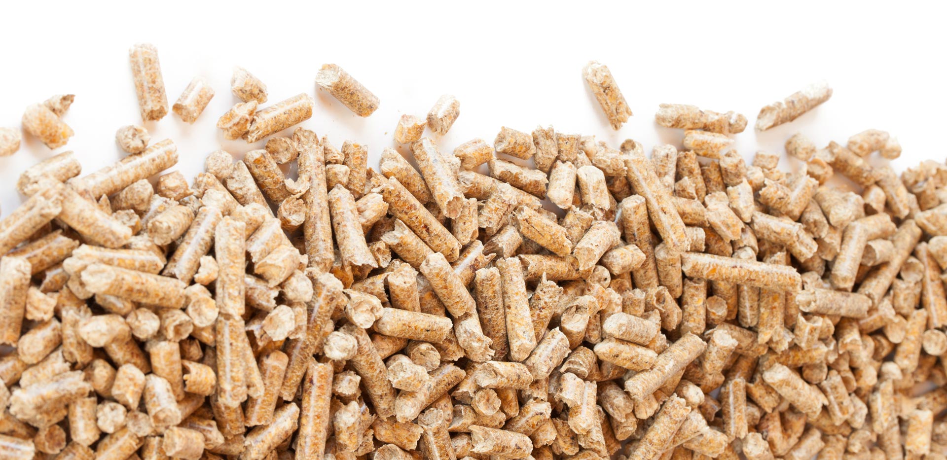 palette-pellets-hero-pellets.jpg